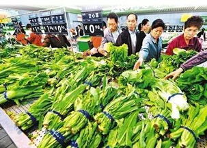 春節(jié)前菜市場探秘 蔬菜、水產(chǎn)、肉類價格與供應(yīng)全解析