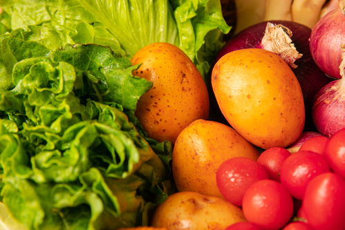 鮮·活 有機蔬菜在鏡頭下的自然之美