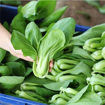 平湖飯堂食材配送服務 工廠食堂高效送菜解決方案